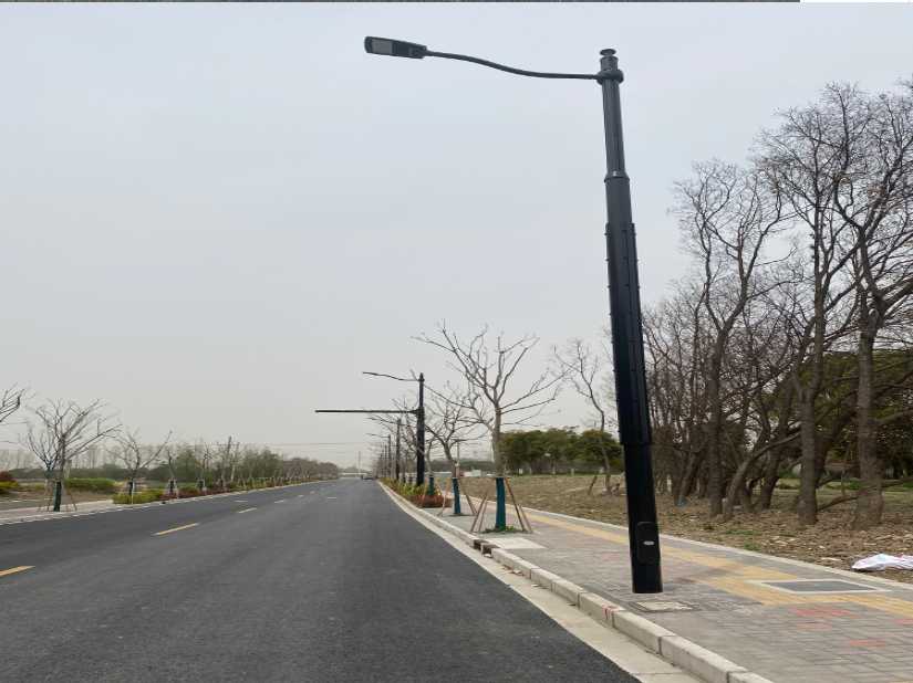 错那县上海综合杆 太阳能路灯工程